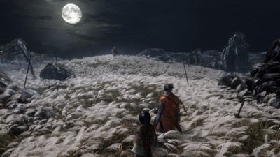 Sekiro Shadows Die Twice Poster #65419