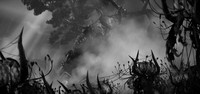 Shadow Warrior 2 Poster 65720