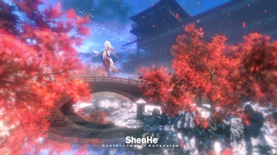 Shenhe Poster #65868