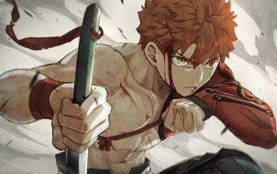 Shirou Emiya Poster #66179