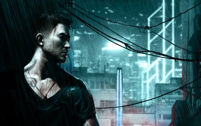 Sleeping Dogs Poster #66663