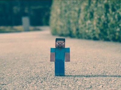 Steve calendar
