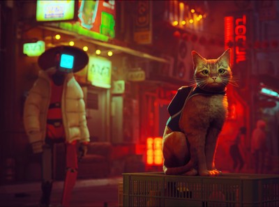 Stray poster
