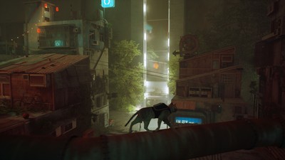 Stray poster