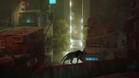 Stray Poster 68844