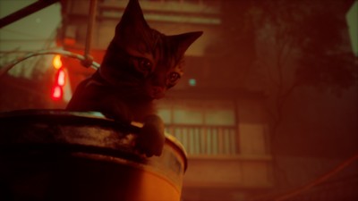 Stray Poster #68884