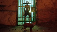 Stray Poster 68909