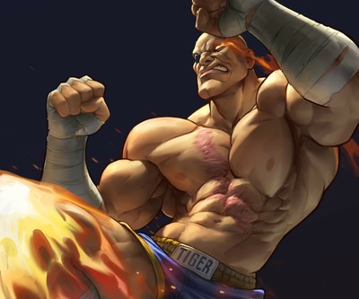 Street Fighter Poster #68931