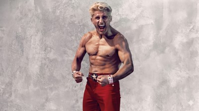 Street Fighter Poster #68941