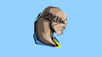 Street Fighter Poster 68971