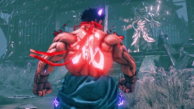 Street Fighter V Poster #69023
