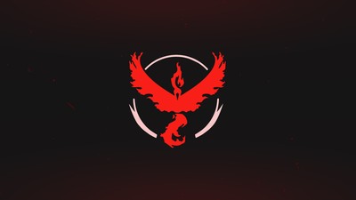 Team Valor poster