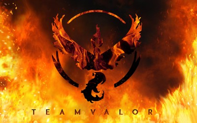 Team Valor Poster #70280