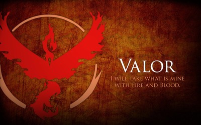 Team Valor poster