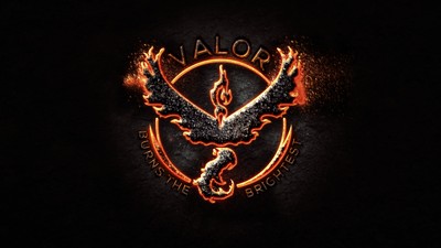 Team Valor poster