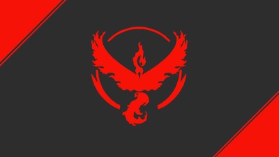 Team Valor Poster #70286