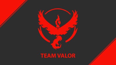 Team Valor Poster #70287