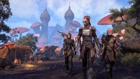 The Elder Scrolls Online Poster 70943