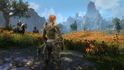 The Elder Scrolls Online High Isle Mouse Pad 70988