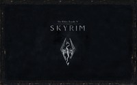The Elder Scrolls V Skyrim Poster 71013