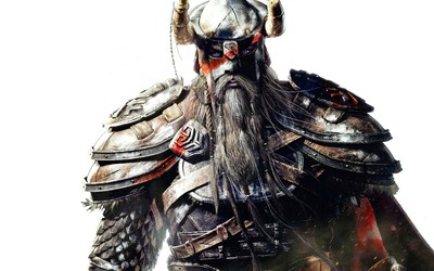 The Elder Scrolls V Skyrim Poster #71021