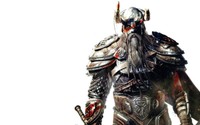 The Elder Scrolls V Skyrim Poster 71022