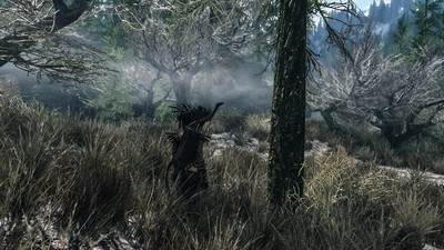 The Elder Scrolls V Skyrim Poster #71044