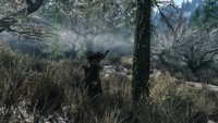 The Elder Scrolls V Skyrim Poster 71044