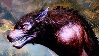 The Elder Scrolls V Skyrim Poster 71059