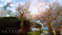 The Elder Scrolls V Skyrim Poster 71062