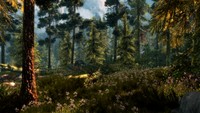The Elder Scrolls V Skyrim Poster 71068
