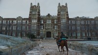 The Last Of Us Poster 71367