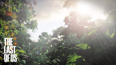The Last Of Us Poster #71412