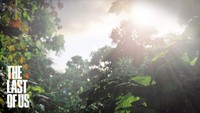 The Last Of Us Poster 71412