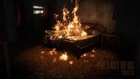 The Last of Us Part II Poster 71463