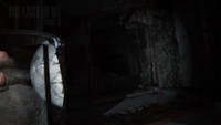 The Last of Us Part II Poster 71470