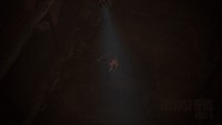 The Last of Us Part II Poster 71471