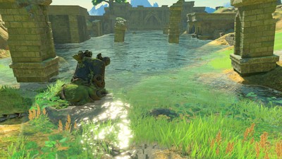 The Legend of Zelda Breath of the Wild Poster #71577
