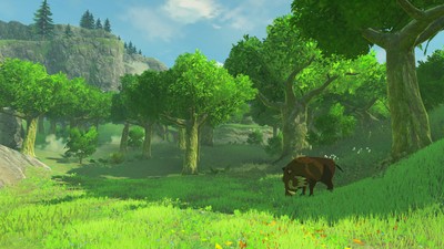 The Legend of Zelda Breath of the Wild Poster #71578