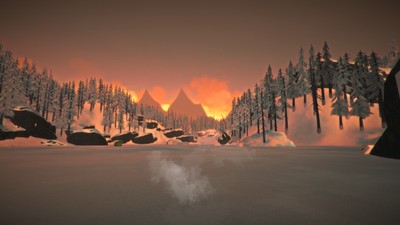 The Long Dark Poster #71699
