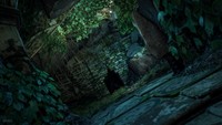 The Witcher 3 Wild Hunt Poster 71891