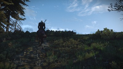 The Witcher 3 Wild Hunt Poster #71917