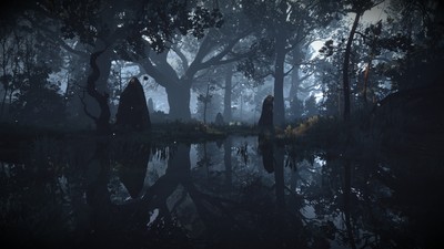 The Witcher 3 Wild Hunt Poster #71918