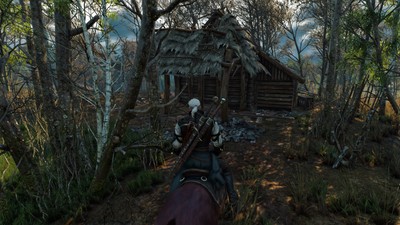 The Witcher 3 Wild Hunt Poster #71934
