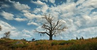 The Witcher 3 Wild Hunt Poster 71937