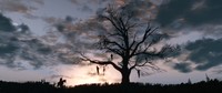 The Witcher 3 Wild Hunt Poster 71943