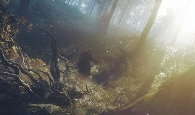 The Witcher 3 Wild Hunt Poster #71957