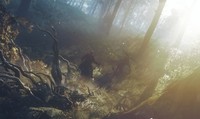 The Witcher 3 Wild Hunt Poster 71957