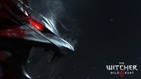 The Witcher 3 Wild Hunt Poster 72012