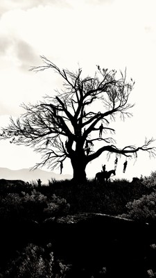 The Witcher 3 Wild Hunt Poster #72026
